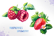 Watercolor berries, an Illustration by AlexGreenArt (Thumbnail 4 of 4)