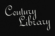Elegant Vintage Calligraphy Font, a Script Font by Century Library (Thumbnail 6 of 7)