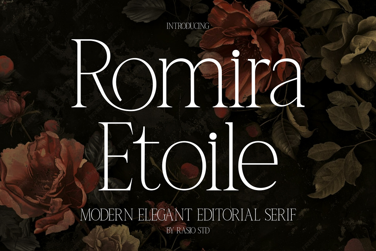 Romira Etoile Elegant Serif Font, a Serif Font by Rasio Studio (Photo 1 of 7)