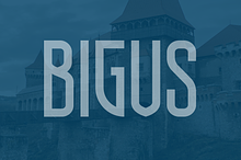 Bigus font family