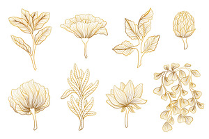 Golden Lines Flowers. Gold Botanical