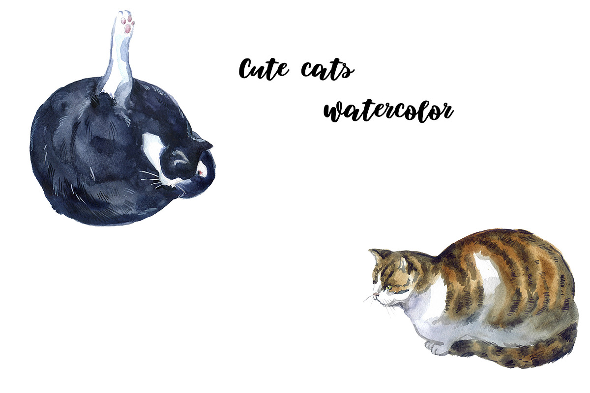 Watercolor Clipart, Cat Clipart, png, an Animal Illustration by KomtsyanTatyanaArt (Photo 5 of 10)