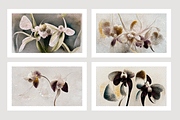 Orid Co. Orchid Flower art, a Texture Illustration by milatovar (Thumbnail 3 of 16)