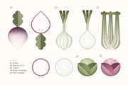 Vegan Illustration Set, a Food Illustration by Paulina Sara Design (Thumbnail 9 of 12)