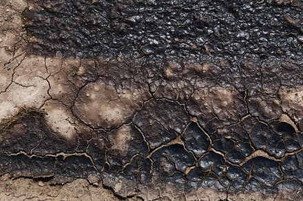 Texture of dry cracked earth, a Nature Photo by BUTKO Magazine