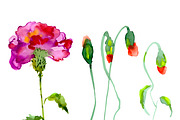 №10 Red carnations blooming, a Decorative Illustration by Rasveta (Thumbnail 2 of 5)