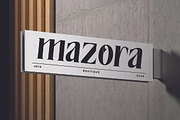 The New Memory, a Serif Font by TM Type (Thumbnail 7 of 17)