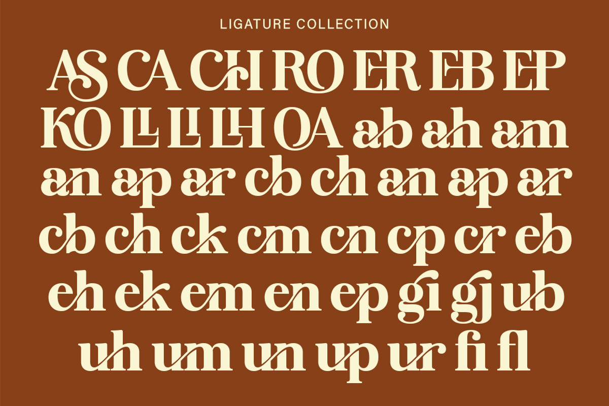 Rendey, a Serif Font by Gatype (Photo 5 of 9)