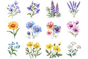 Wildflower Watercolor Clipart Bundle, an Illustration by DreamCafeArt (Thumbnail 5 of 5)