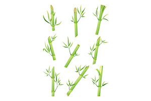 Bamboo green stalk, icon set, an Object Illustration by Things for designers