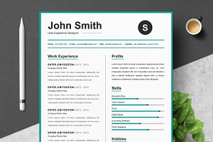 Professional 1 Page Resume Template