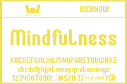 Ameliorate font, a Sans Serif Font by weknow (Thumbnail 4 of 5)