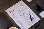 Resume / CV, a Resume Template by Aspect_Studio (Thumbnail 5 of 5)
