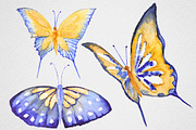 Watercolor Butterfly set #1, an Object Graphic by IvanFet (Thumbnail 8 of 8)
