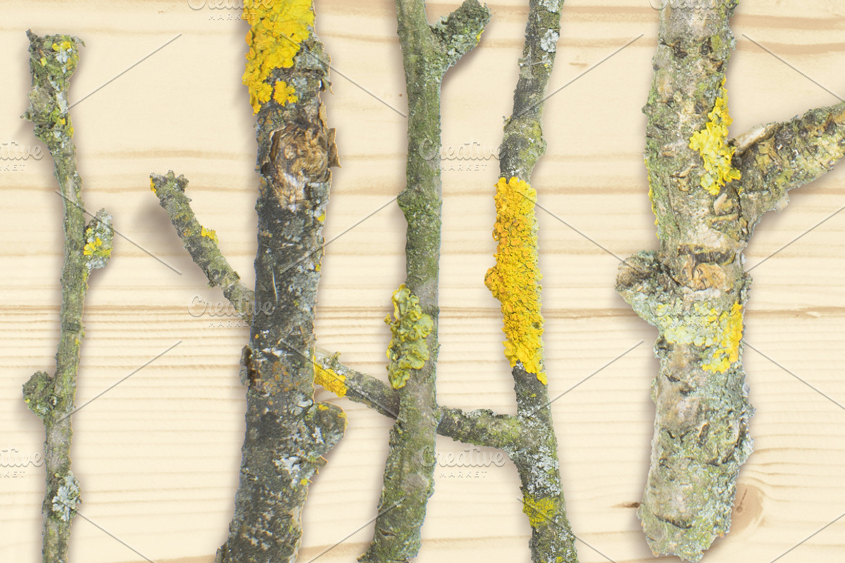 Autumn Floral Mockup Objects, an Object Graphic by uncle-rico (Photo 11 of 13)