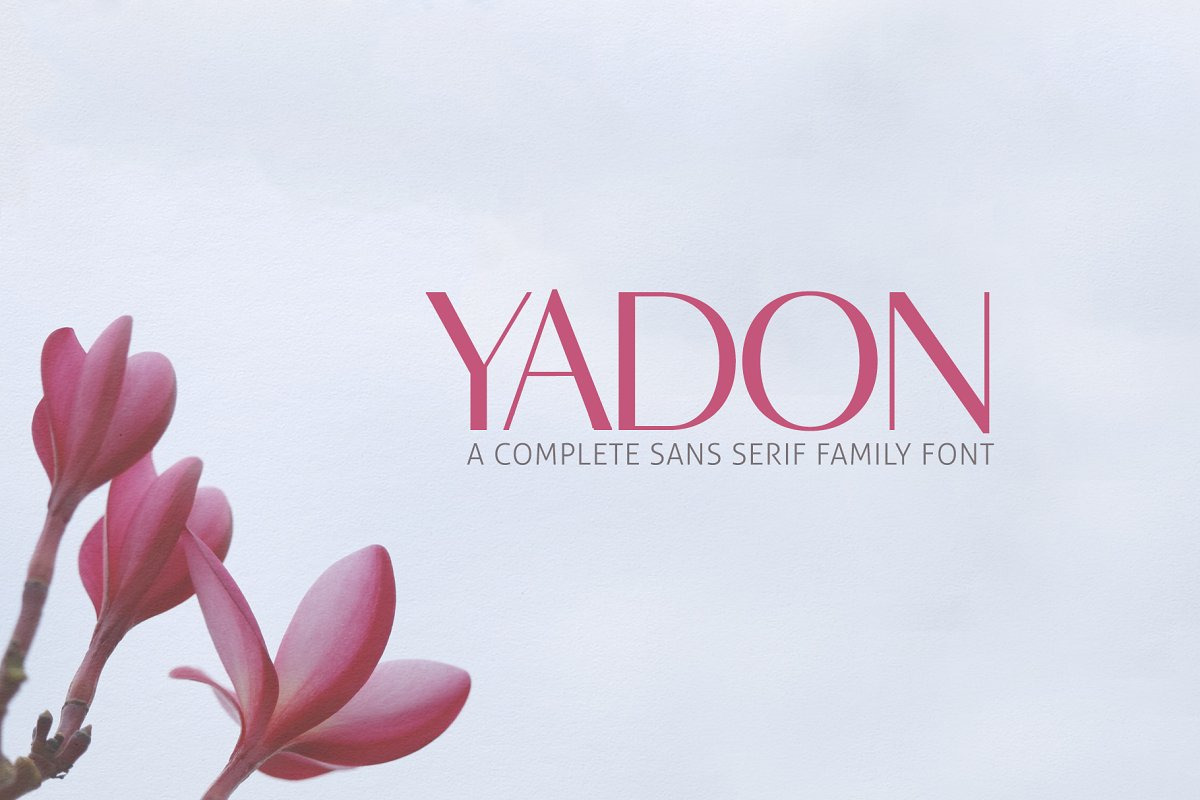Designer's Type - Sans Serif Bundle!, a Sans Serif Font by Creativetacos (Photo 31 of 36)