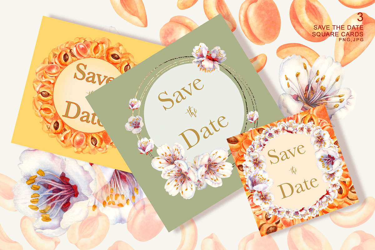 Apricot Fruits & Flowers, watercolor, a Food Illustration by EL_SUHOVA (Photo 8 of 17)