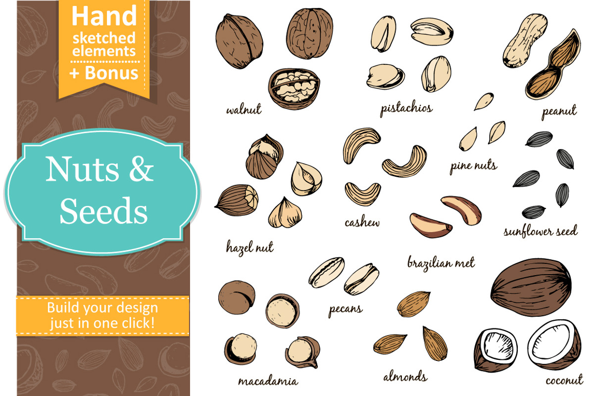Nuts and seeds with seamless pattern, a Food Illustration by Tatti Graphic Studio (Photo 1 of 3)