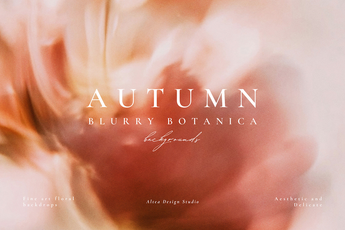 Autumn Blurry Floral Backgrounds, a Background Graphic by Altea Design Studio (Photo 1 of 15)