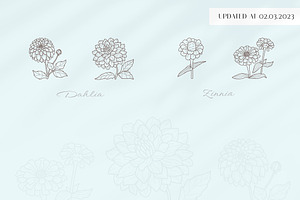 Floral Logo Elements And Templates