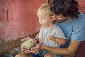 Father and toddler explore a chick, a Person Photo by Elizaveta Galitskaya