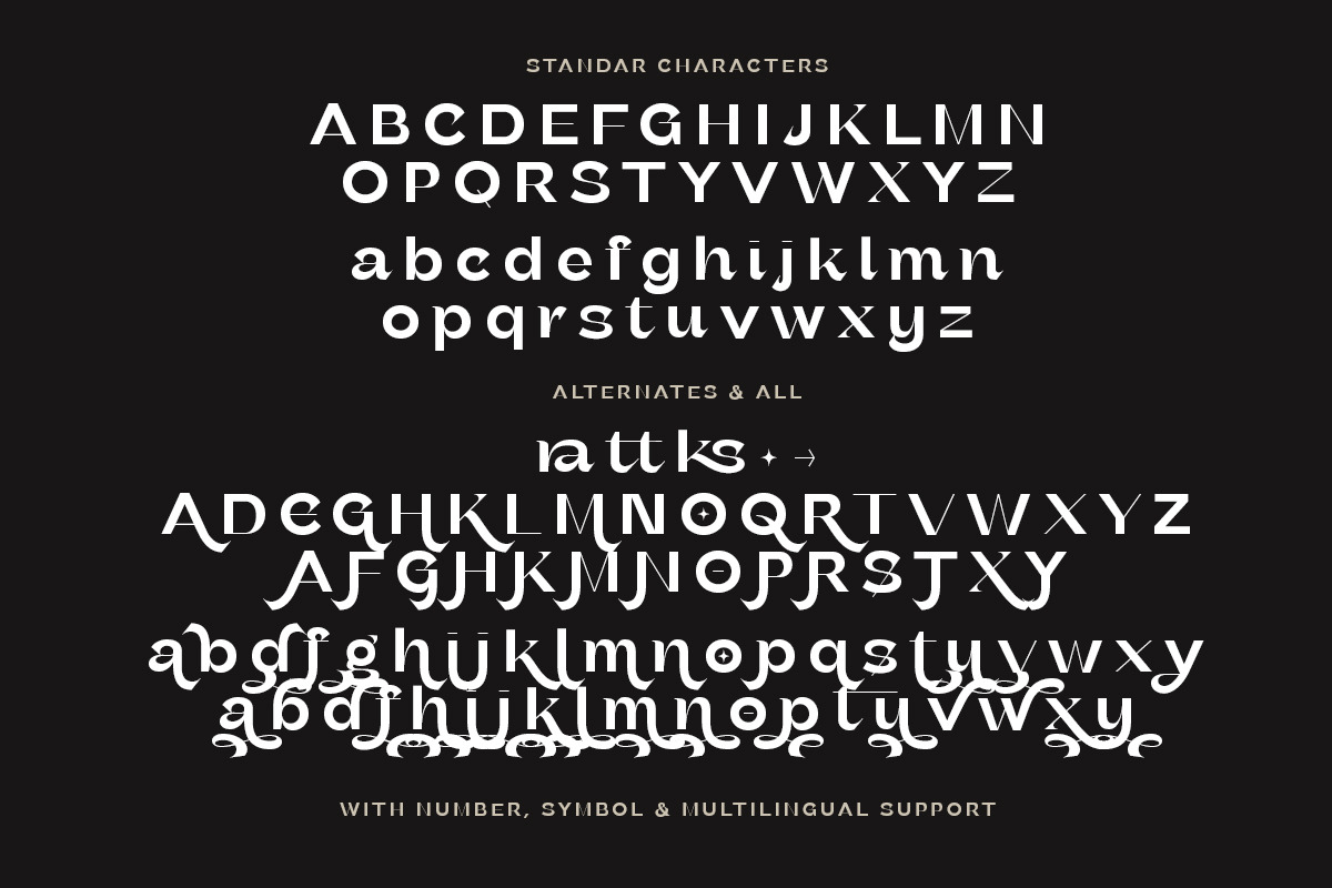 Grafika - Modern Sans, a Sans Serif Font by Sarid Ezra (Photo 9 of 9)