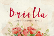 Briella Script, a Script Font by BlueRobinDesignShop (Thumbnail 1 of 6)