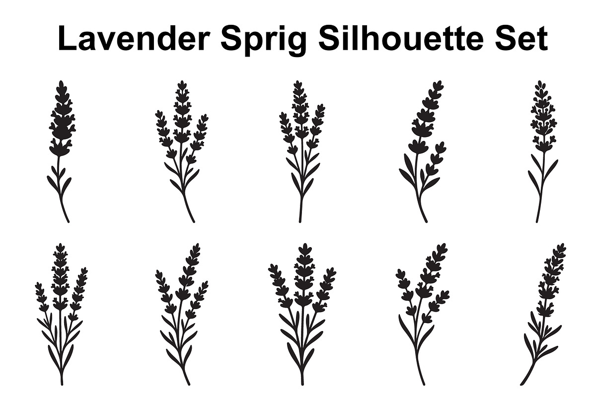 Lavender Stem Silhouette Collection, an Object Graphic by Creativeshirt (Photo 1 of 3)