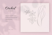 Orchid #13. Line Art Illustration, a Decorative Illustration by lapi-olesya (Thumbnail 1 of 3)
