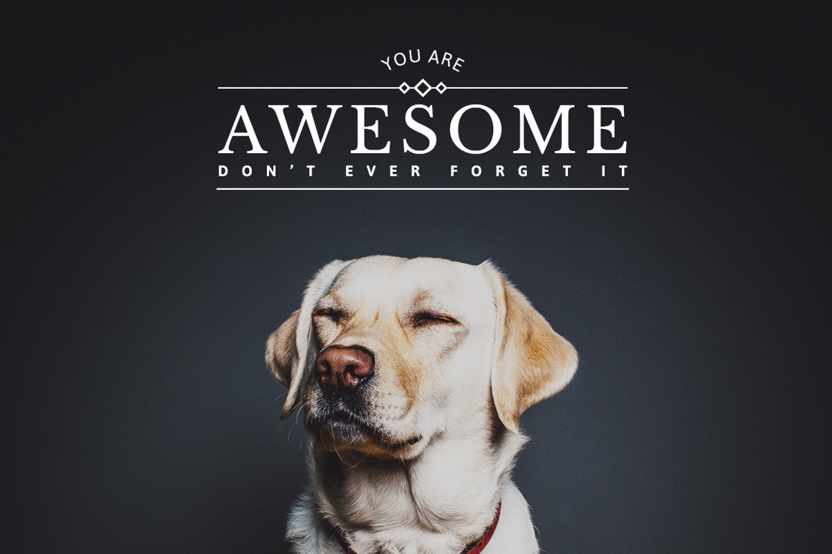 20 Inspiring Instagram Banners, a Social Media Template by SparkleStock (Photo 7 of 10)