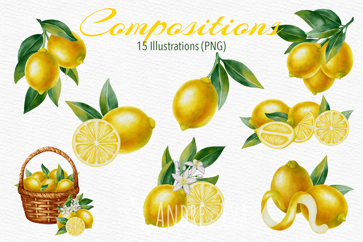 Lemon — Watercolor Illustration Set, a Food Illustration by Andre_Eva (Photo 3 of 12)