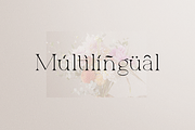 Allegrand - Elegant Serif Font, a Font by RockboyStd (Thumbnail 9 of 12)