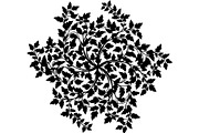 Ornamental Floral Mandala, an Object Graphic by Creativeshirt (Thumbnail 7 of 14)
