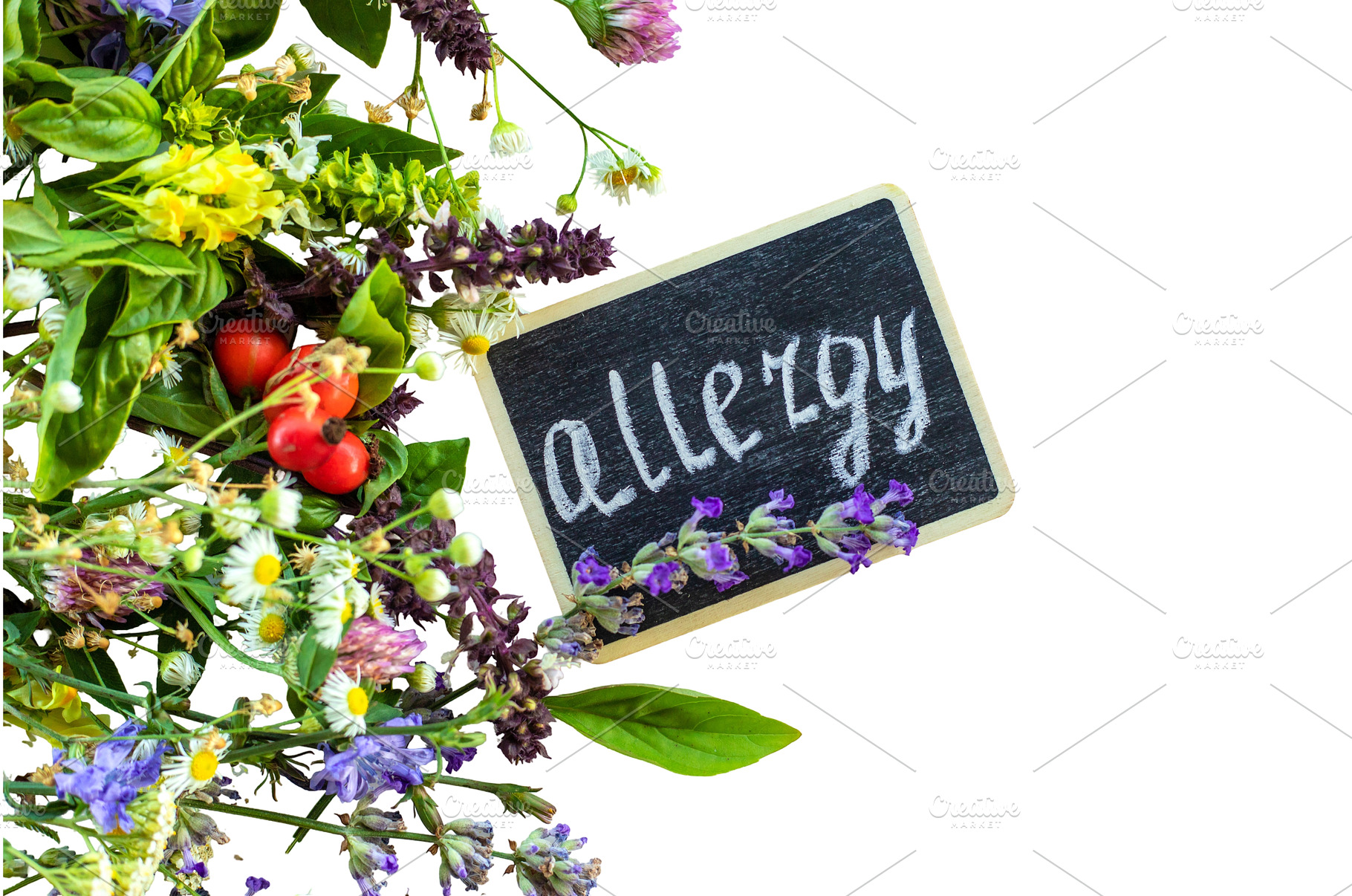 Various medicinal herbs on a white, a Food & Drink Photo by yanadjana