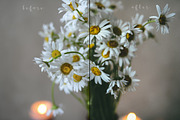 9 FILM presets for lightroom, a Preset Add-On by Trofimova Veronika (Thumbnail 7 of 8)