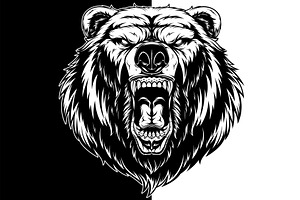 Head of a ferocious grizzly bear, an Animal Illustration by Mark2000