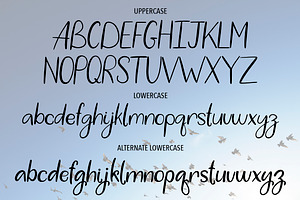 WHITE STORK. A HANDWRITTEN DUO FONT.