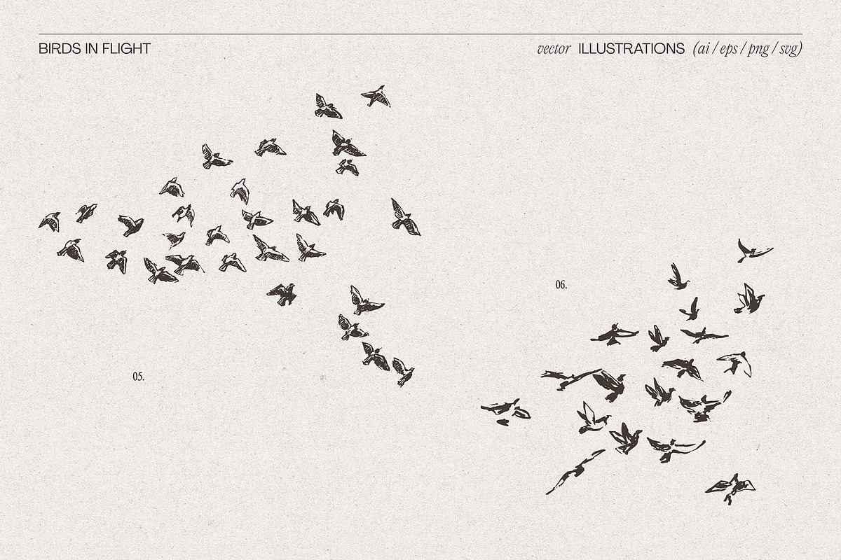 Sketch-Style Bird Flock Vector Set, an Animal Illustration by TheMountBirdStudio (Photo 6 of 11)