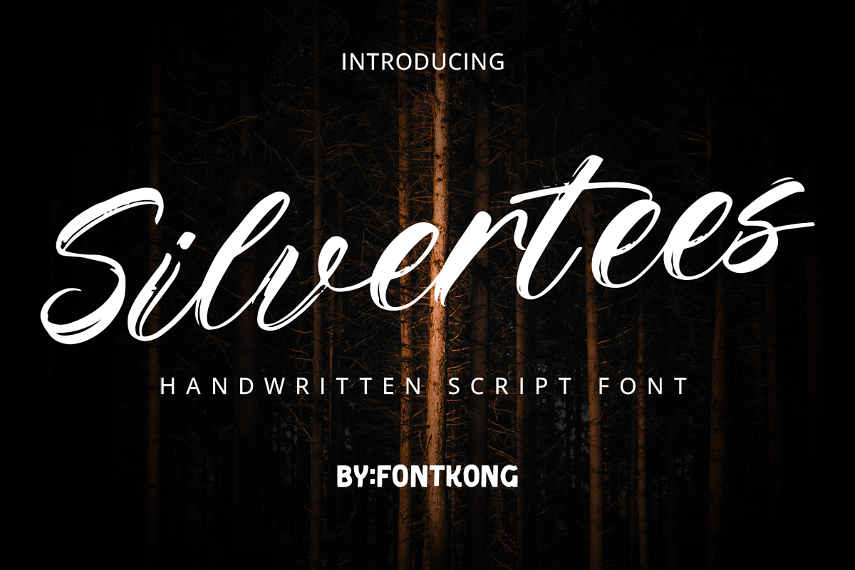 Silvertees – Handwritten Script Font, a Script Font by overlaytemplates (Photo 1 of 5)