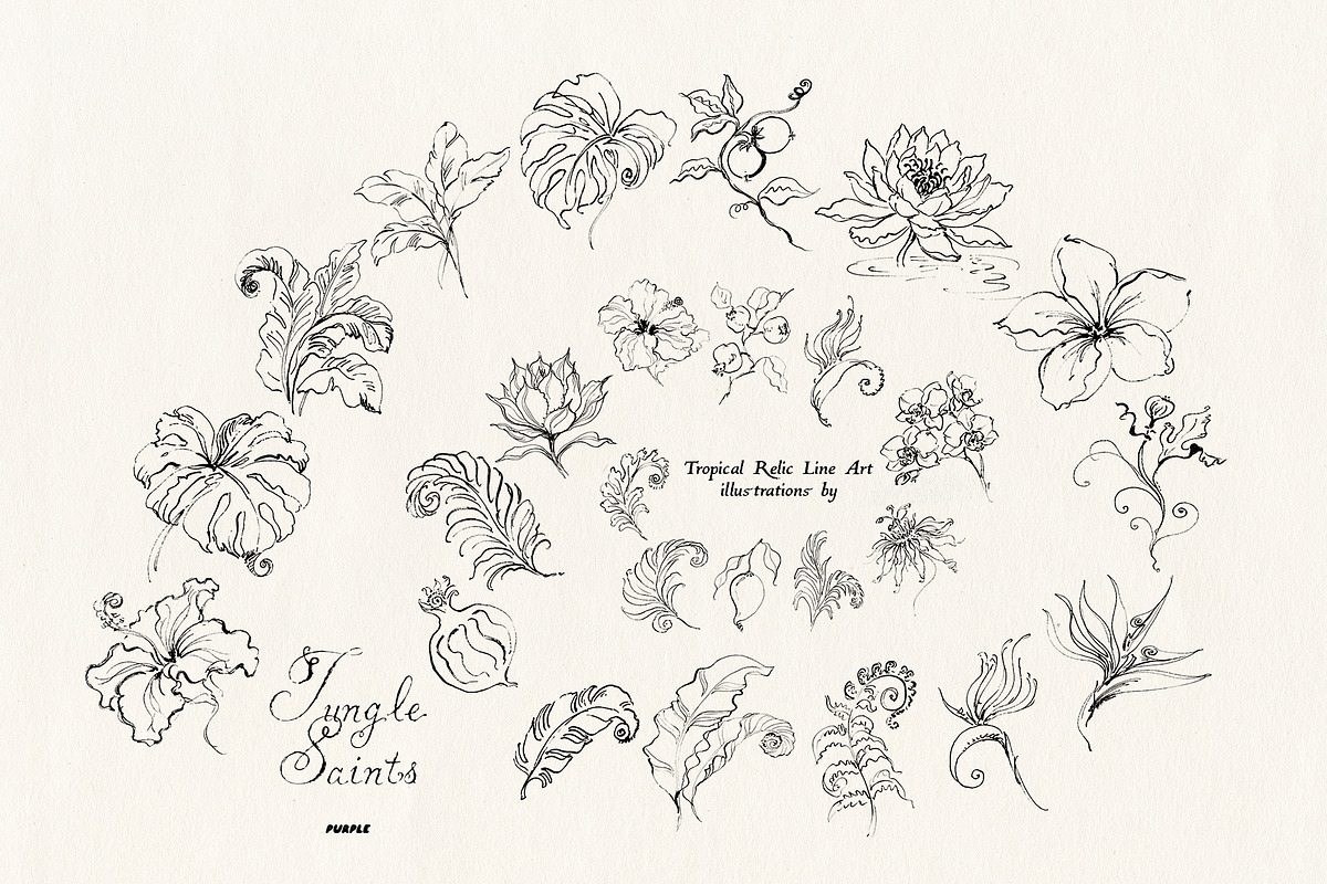 Jungle Saints: Tropical Line Art, an Object Illustration by Purple (Photo 4 of 15)