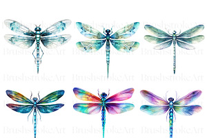 Watercolor Dragonfly Clipart, Insect