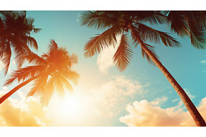 beach sun summer background ai, a Holiday Photo by pikepicture