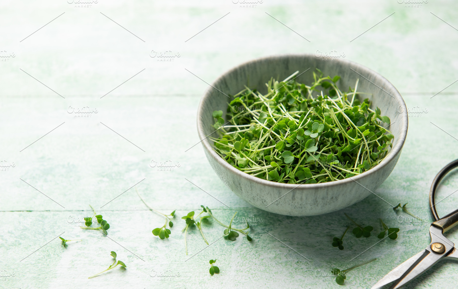 Fresh microgreens in bowl with scissors on green table, a Food & Drink Photo by Olena Rudo