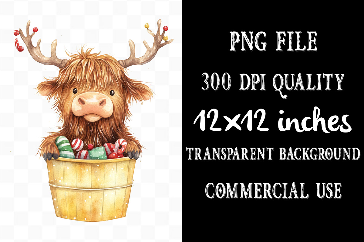 Christmas Highland Cows in Bucket, an Illustration by Designking (Photo 2 of 4)