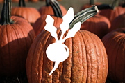 Autumn Farm | Harvest Rustic Pack, an Object Illustration by Nutalin Art (Thumbnail 2 of 12)