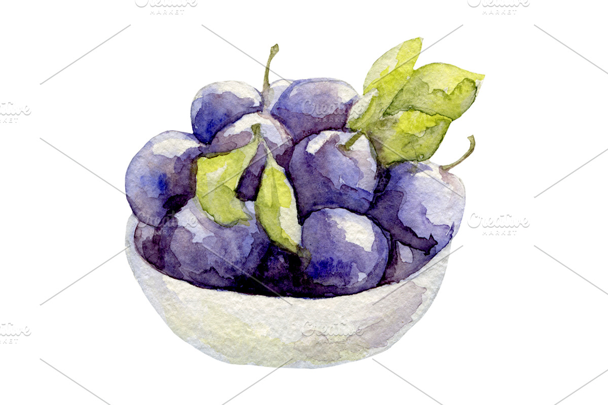Watercolor 24 fruits set, a Food Illustration by My watercolor shop (Photo 8 of 16)