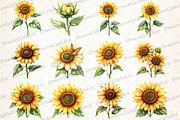 Yellow Sunflower Watercolor Flowers, an Illustration by DreamCafeArt (Thumbnail 3 of 6)