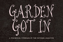 Garden Got In Tendril Display Font