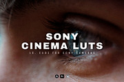 Sony Camera LUTs Pack | Cinema luts, a Preset Add-On by Presets store (Thumbnail 1 of 2)