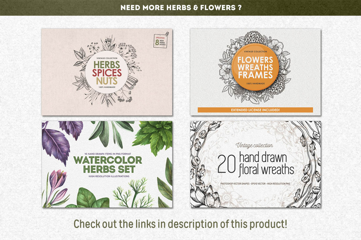 Wild & Medical Herbs, a Food Illustration by Chelovector (Photo 5 of 5)